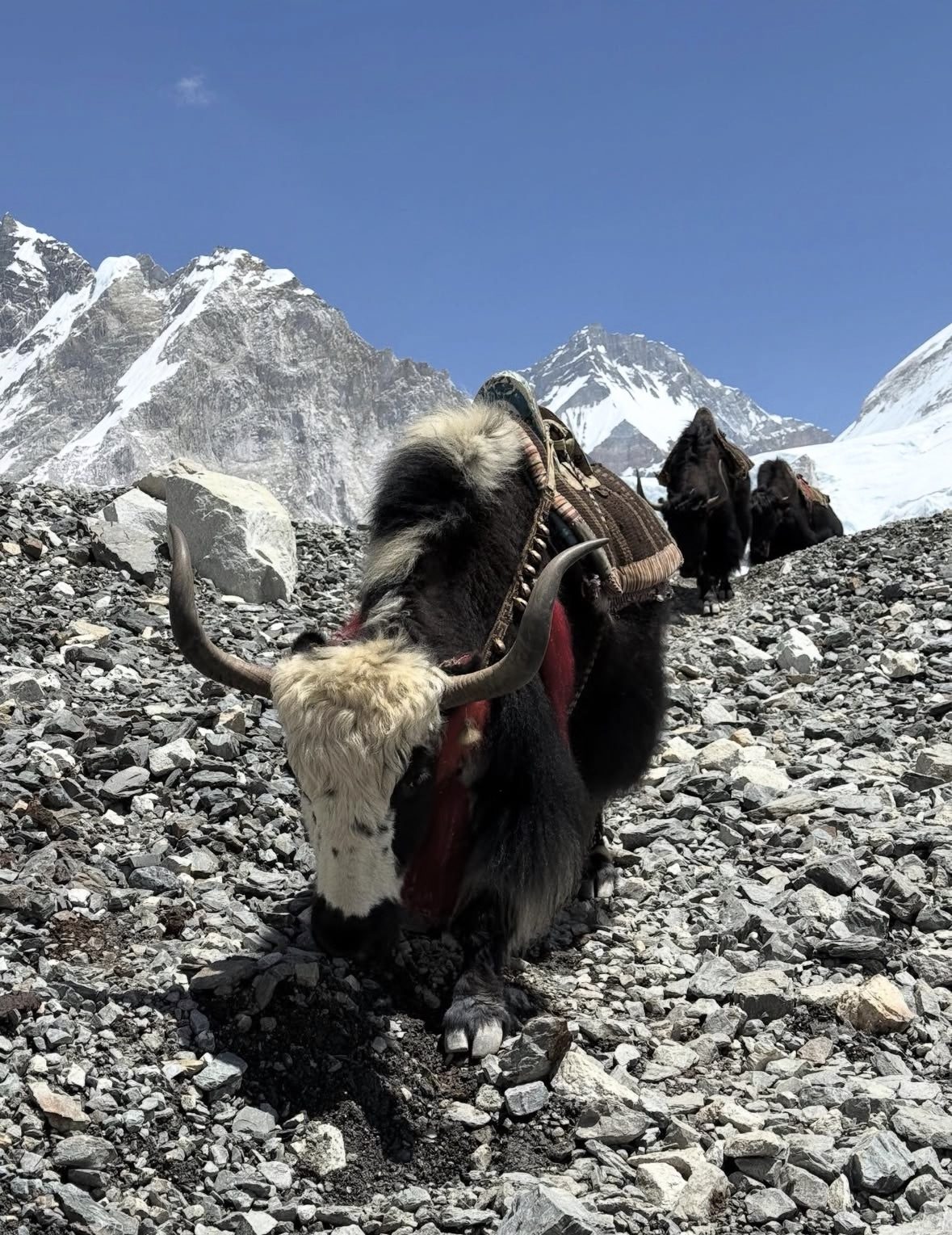 Crystal-clear autumn skies over the Everest region during prime everest base camp helicopter tour season